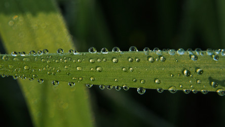 Similar image 21817008