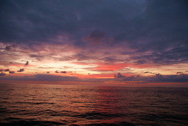 Similar image 21817009