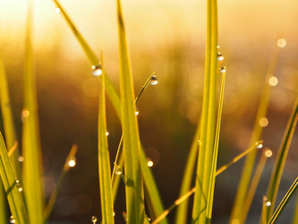 Similar image 21821649