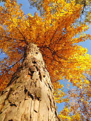 Similar image 21821650