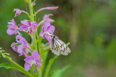 Similar image 21817018