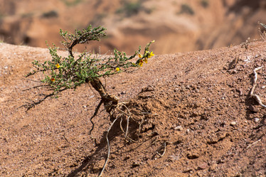 Similar image 21817021