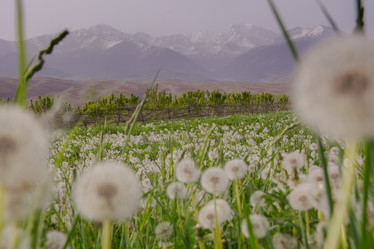 Similar image 21817023