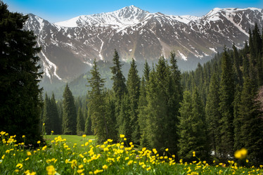 Similar image 21817026