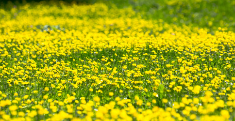 Similar image 21817027