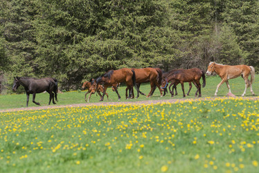 Similar image 21817028