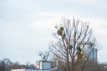 Similar image 21817048