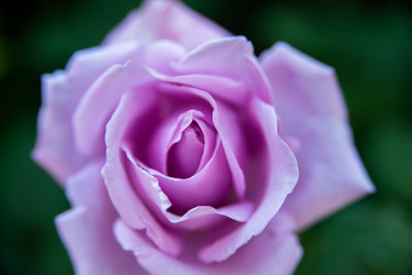 Similar image 21817049