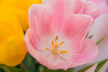 Similar image 21817054