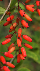 Similar image 21817059