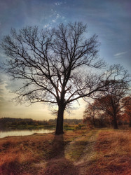 Similar image 21817060