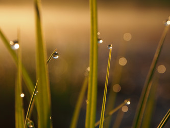 Similar image 21817061