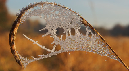 Similar image 21817063