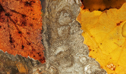 Similar image 21817064