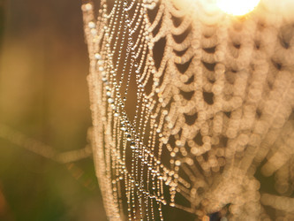 Similar image 21817067