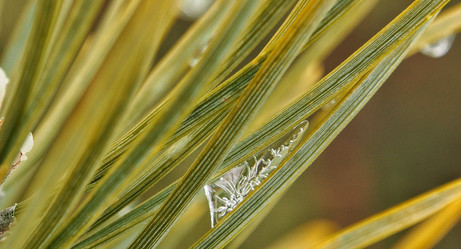 Similar image 21817068