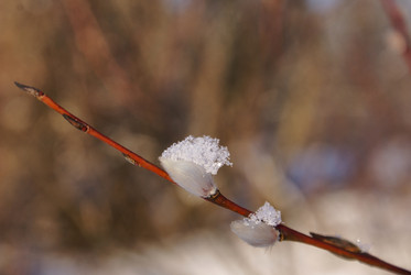 Similar image 21821656