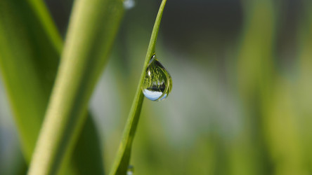 Similar image 21821657