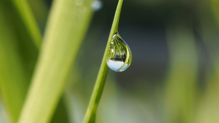 Similar image 21817070