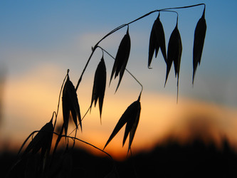 Similar image 21817072