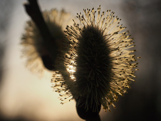 Similar image 21817073