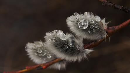 Similar image 21817074