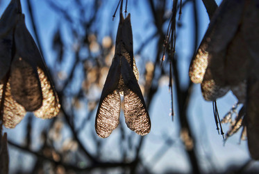 Similar image 21817075