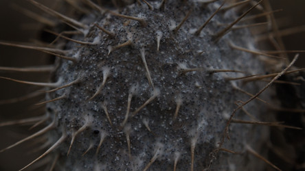 Similar image 21817076