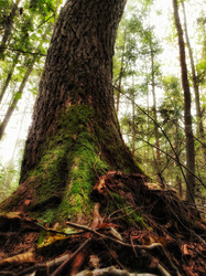 Similar image 21817081