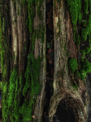 Similar image 21817082