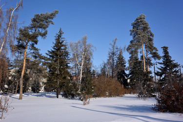 Similar image 21816834