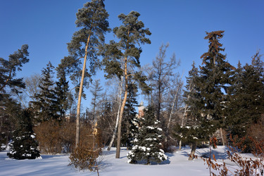 Similar image 21816836