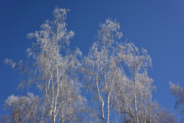 Similar image 21816841