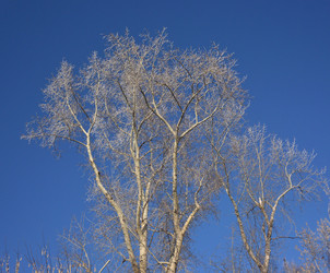 Similar image 21816842