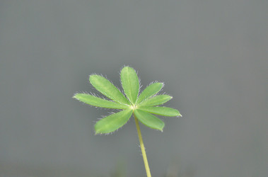 Similar image 21816844