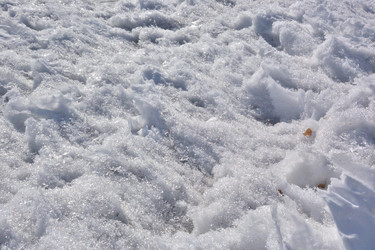 Similar image 21816845