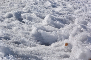 Similar image 21816847