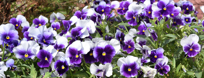 Similar image 21816857