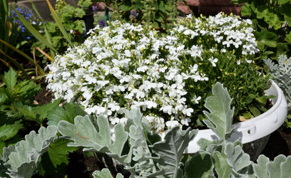 Similar image 21816869