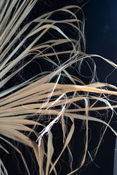 Similar image 21817575