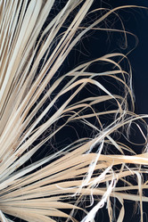 Similar image 21818318