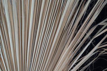 Similar image 21817576