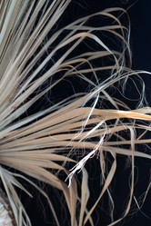 Similar image 21817577