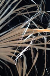 Similar image 21818319