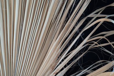 Similar image 21818320