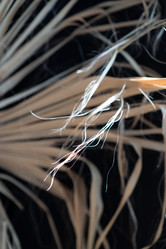 Similar image 21818321