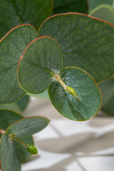 Similar image 21817603