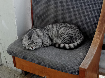 Similar image 21816870