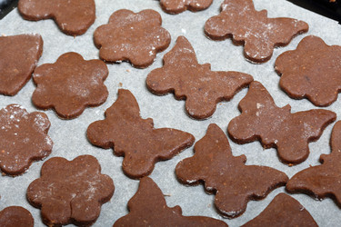 Similar image 21817122