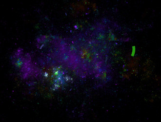 Similar image 21825304